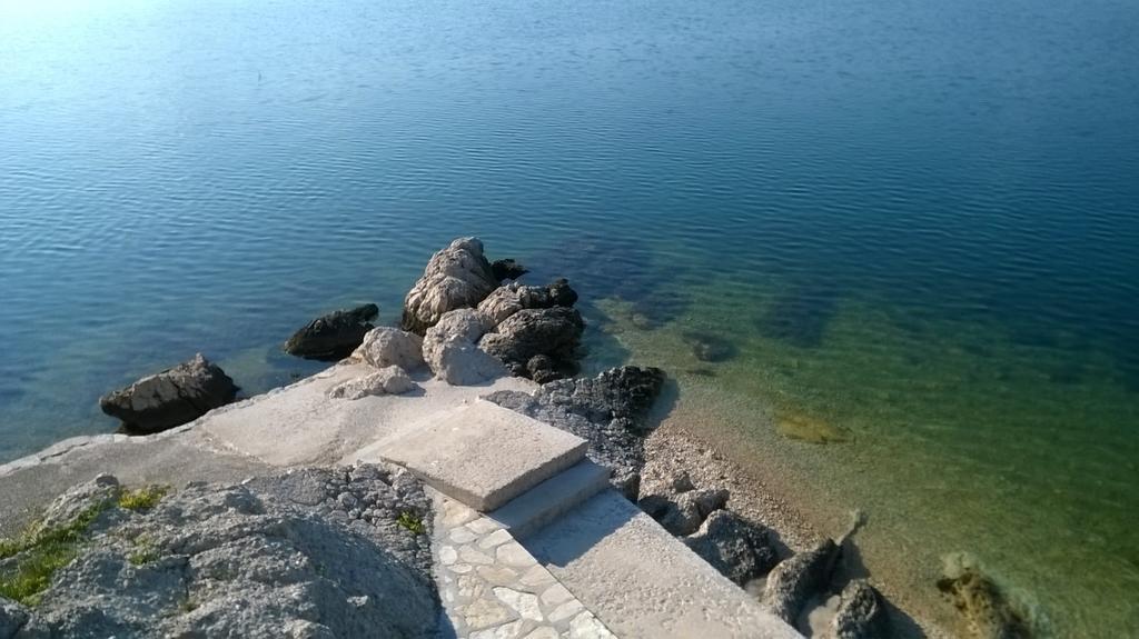 Apartment Novigrad *