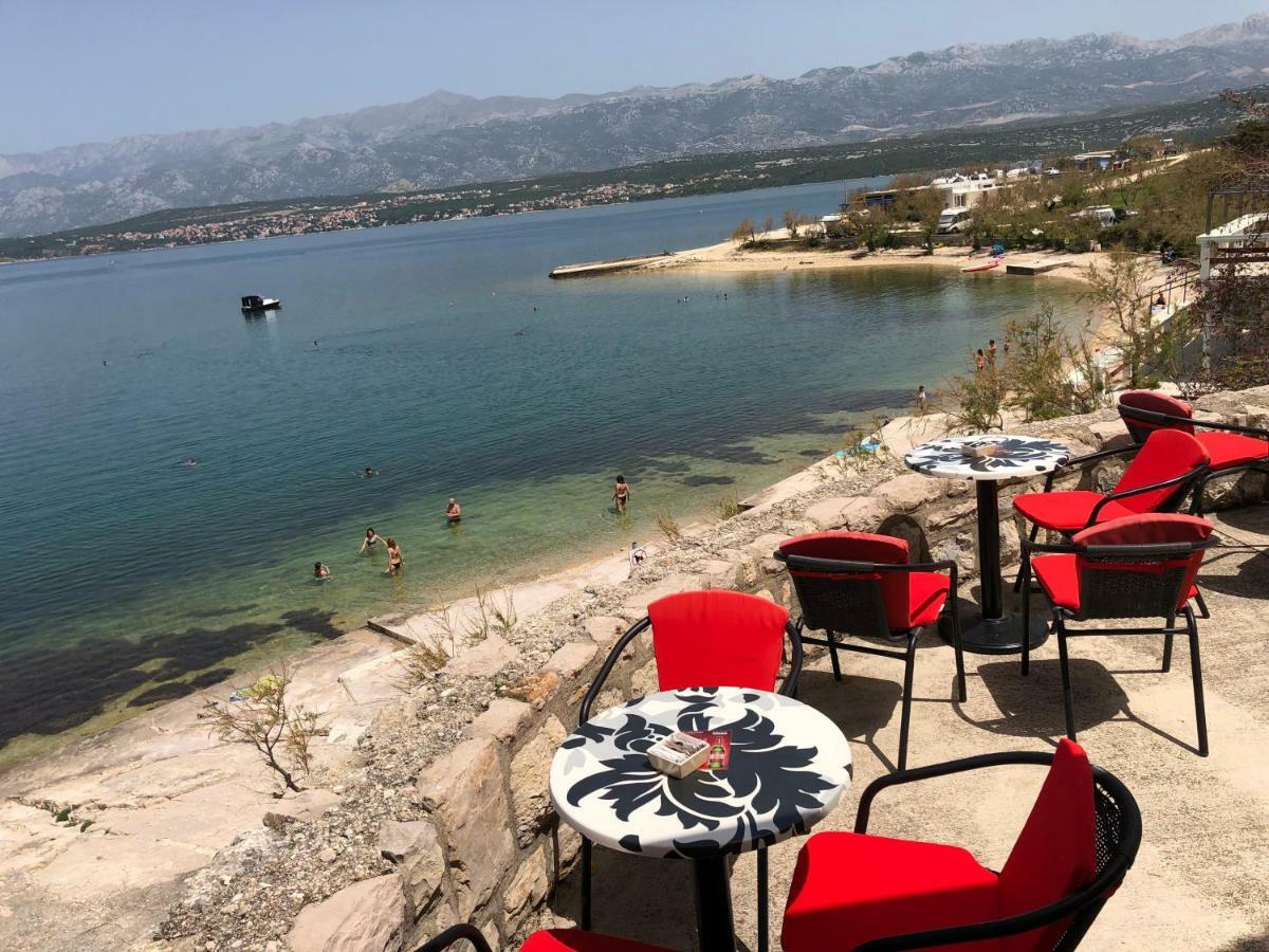 Apartment Novigrad *